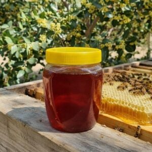 عسل کنار سوپر ممتاز درجه یک (یک کیلویی)